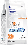 FORZA10 Renal Active (26/18,5) - "Форца 10 Актив" для взрослых кошек с острой и хронической почечной недостаточностью