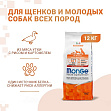 Monge Puppy & Junior Duck (31,5/18,5) - "Монж" с уткой, рисом и картофелем для щенков всех пород